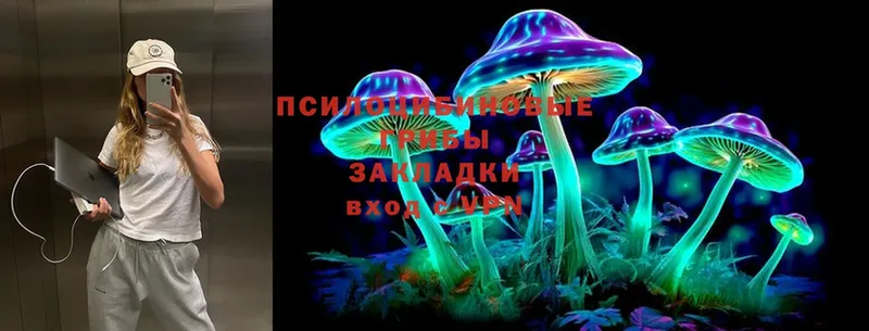 darknet формула  Удачный  Галлюциногенные грибы Psilocybe 